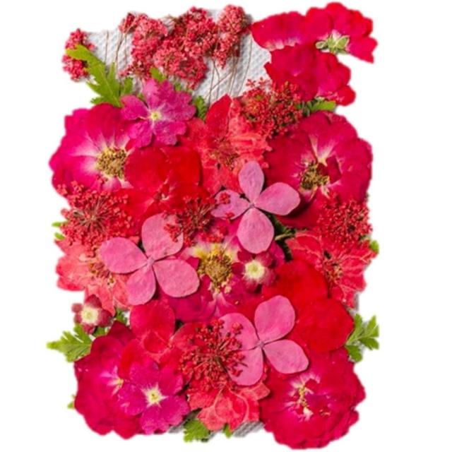 【A-ONE 匯旺】真花壓花 乾燥花 拼貼 貼臉裝飾 新娘妝 少女寫真DIY 壓花材料包