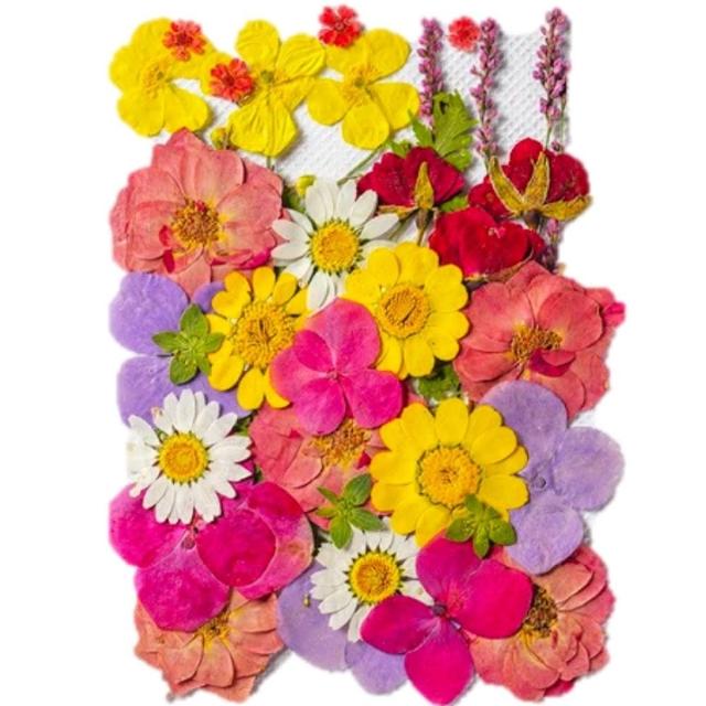 【A-ONE 匯旺】真花壓花 乾燥花 拼貼 貼臉裝飾 新娘妝 少女寫真DIY 壓花材料包