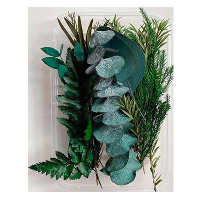 【A-ONE 匯旺】天然乾燥花 隨機出貨 乾花 花藝材料包 永生花 浮油花 植物果實(D01)