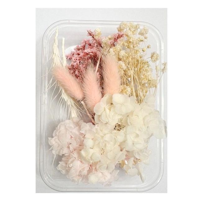 【A-ONE 匯旺】天然乾燥花 隨機出貨 乾花 花藝材料包 永生花 浮油花 植物果實(D01)