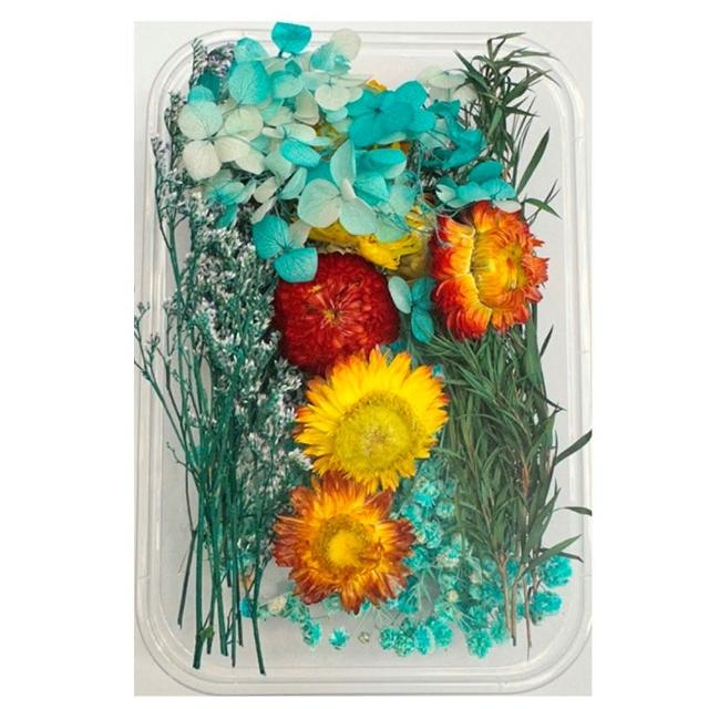 【A-ONE 匯旺】天然乾燥花 隨機出貨 乾花 花藝材料包 永生花 浮油花 植物果實(D01)