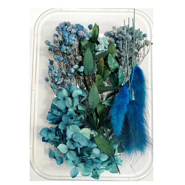 【A-ONE 匯旺】天然乾燥花 隨機出貨 乾花 花藝材料包 永生花 浮油花 植物果實(D01)