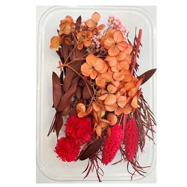 【A-ONE 匯旺】天然乾燥花 隨機出貨 乾花 花藝材料包 永生花 浮油花 植物果實(D01)