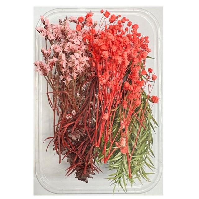 【A-ONE 匯旺】天然乾燥花 隨機出貨 乾花 花藝材料包 永生花 浮油花 植物果實(D01)