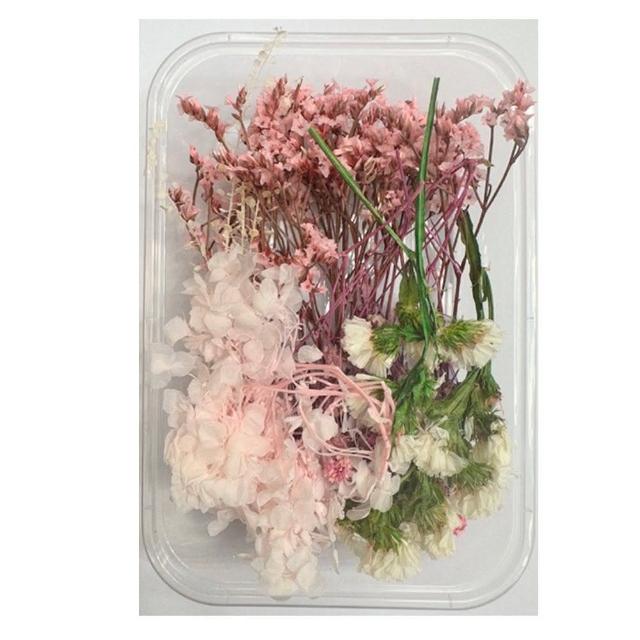 【A-ONE 匯旺】天然乾燥花 隨機出貨 乾花 花藝材料包 永生花 浮油花 植物果實(D01)