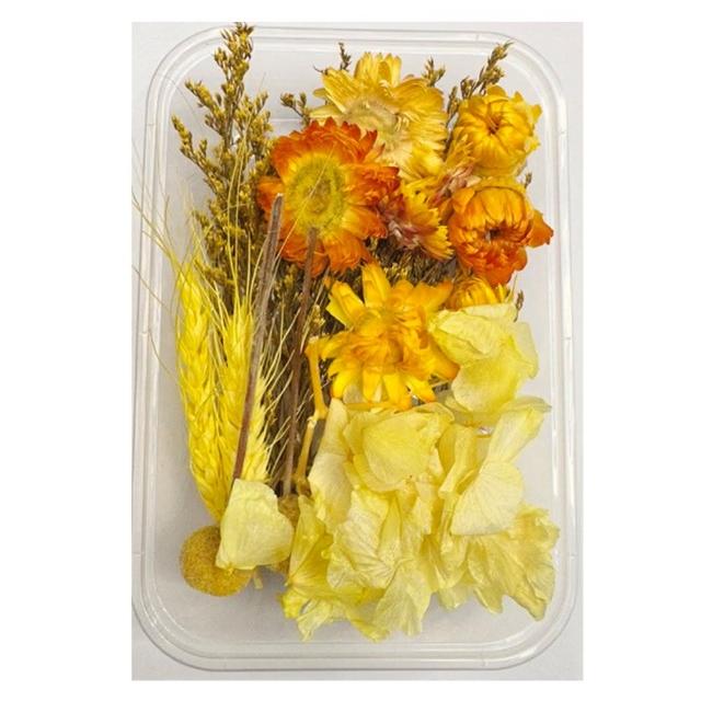 【A-ONE 匯旺】天然乾燥花 隨機出貨 乾花 花藝材料包 永生花 浮油花 植物果實(D01)