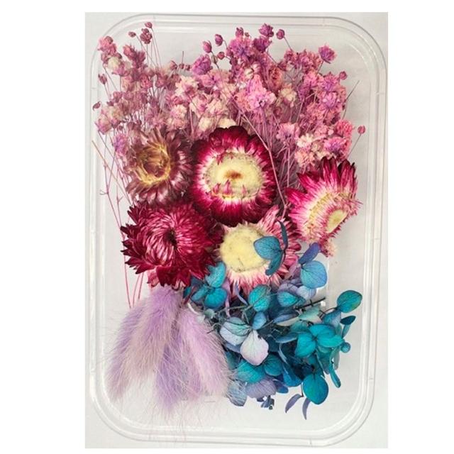 【A-ONE 匯旺】天然乾燥花 隨機出貨 乾花 花藝材料包 永生花 浮油花 植物果實(D01)