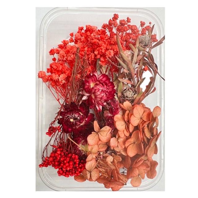 【A-ONE 匯旺】天然乾燥花 隨機出貨 乾花 花藝材料包 永生花 浮油花 植物果實(D01)