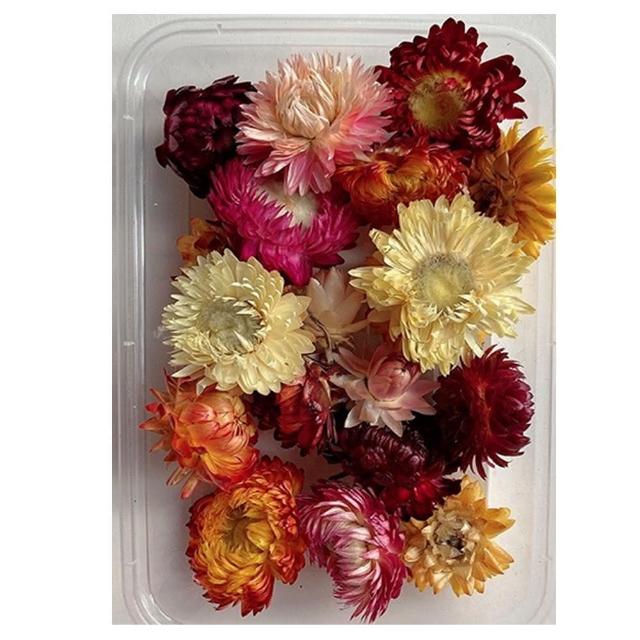 【A-ONE 匯旺】天然乾燥花 隨機出貨 乾花 花藝材料包 永生花 浮油花 植物果實(D01)