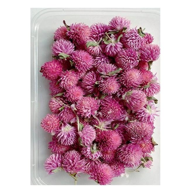 【A-ONE 匯旺】天然乾燥花 隨機出貨 乾花 花藝材料包 永生花 浮油花 植物果實(D01)