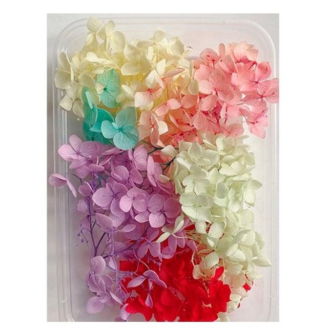 【A-ONE 匯旺】天然乾燥花 隨機出貨 乾花 花藝材料包 永生花 浮油花 植物果實(D01)