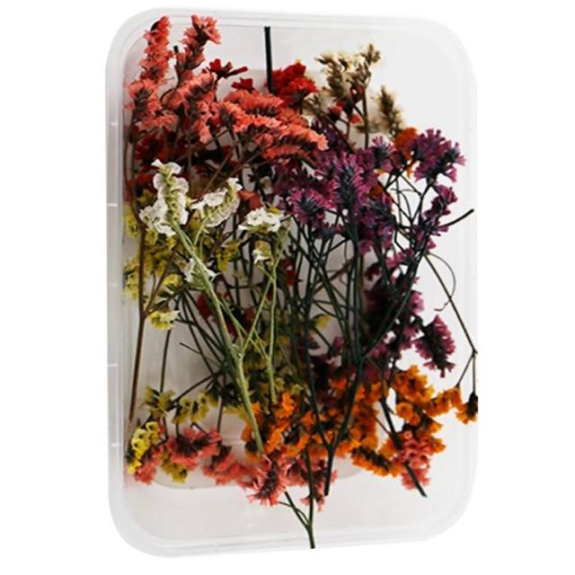 【A-ONE 匯旺】天然乾燥花 隨機出貨 乾花 花藝材料包 永生花 浮油花 植物果實(D01)