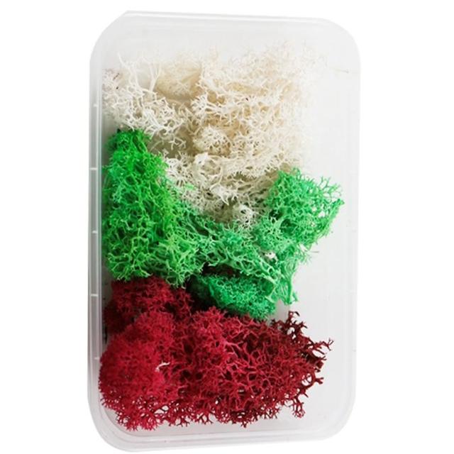 【A-ONE 匯旺】天然乾燥花 隨機出貨 乾花 花藝材料包 永生花 浮油花 植物果實(D01)