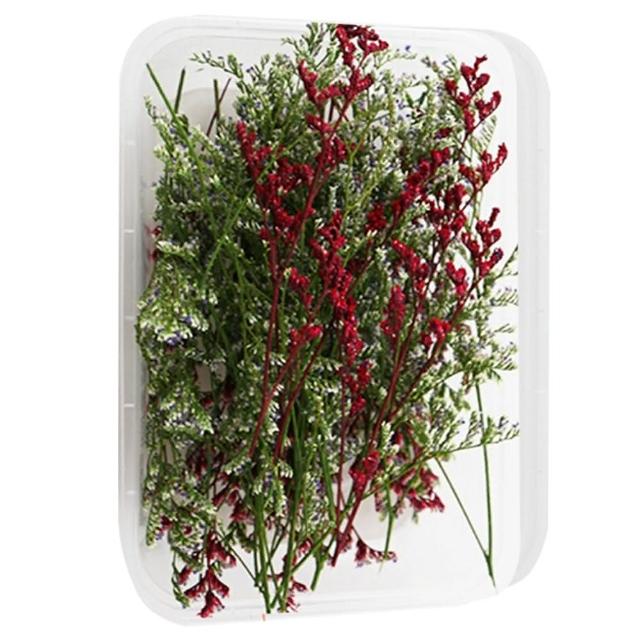 【A-ONE 匯旺】天然乾燥花 隨機出貨 乾花 花藝材料包 永生花 浮油花 植物果實(D01)