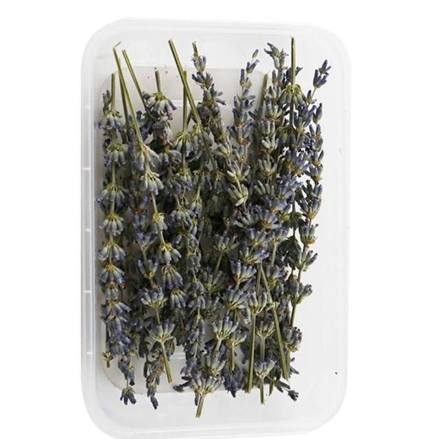 【A-ONE 匯旺】天然乾燥花 隨機出貨 乾花 花藝材料包 永生花 浮油花 植物果實(D01)