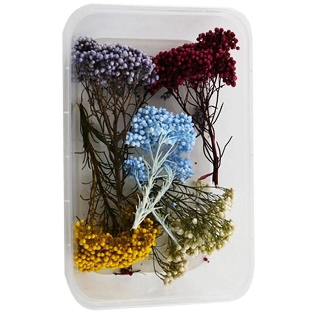 【A-ONE 匯旺】天然乾燥花 隨機出貨 乾花 花藝材料包 永生花 浮油花 植物果實(D01)