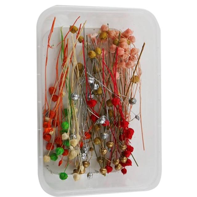 【A-ONE 匯旺】天然乾燥花 隨機出貨 乾花 花藝材料包 永生花 浮油花 植物果實(D01)