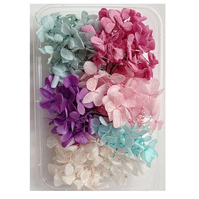 【A-ONE 匯旺】天然乾燥花 隨機出貨 乾花 花藝材料包 永生花 浮油花 植物果實(D01)