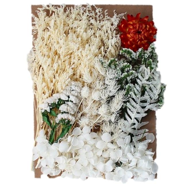 【A-ONE 匯旺】天然乾燥花 植物果實 拍照道具 花材 花藝材料包 浮游花 永生花 浮油花 乾花 乾燥花材(C11)