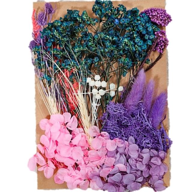 【A-ONE 匯旺】天然乾燥花 植物果實 拍照道具 花材 花藝材料包 浮游花 永生花 浮油花 乾花 乾燥花材(C11)
