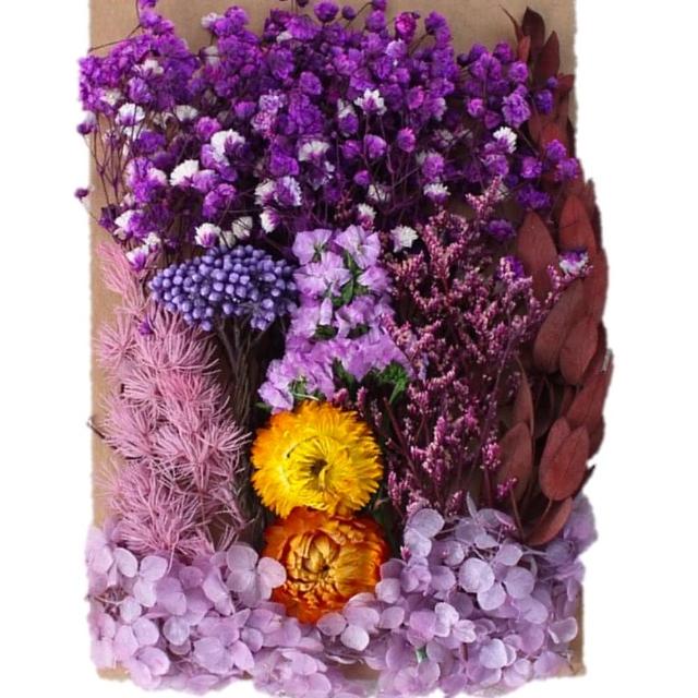 【A-ONE 匯旺】天然乾燥花 植物果實 拍照道具 花材 花藝材料包 浮游花 永生花 浮油花 乾花 乾燥花材(C11)