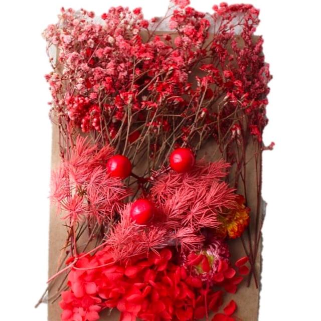 【A-ONE 匯旺】天然乾燥花 植物果實 拍照道具 花材 花藝材料包 浮游花 永生花 浮油花 乾花 乾燥花材(C11)