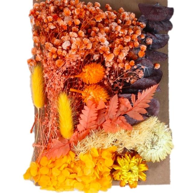 【A-ONE 匯旺】天然乾燥花 植物果實 拍照道具 花材 花藝材料包 浮游花 永生花 浮油花 乾花 乾燥花材(C11)