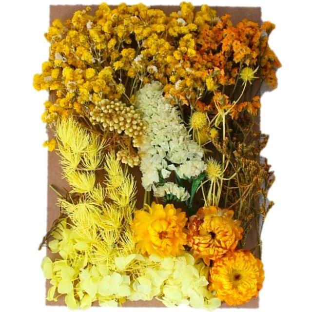 【A-ONE 匯旺】天然乾燥花 植物果實 拍照道具 花材 花藝材料包 浮游花 永生花 浮油花 乾花 乾燥花材(C11)