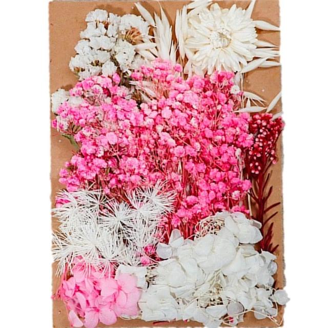 【A-ONE 匯旺】天然乾燥花 植物果實 拍照道具 花材 花藝材料包 浮游花 永生花 浮油花 乾花 乾燥花材(C11)