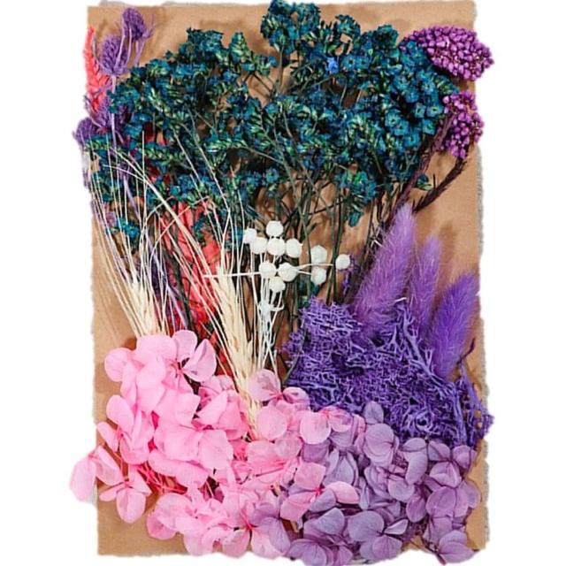 【A-ONE 匯旺】天然乾燥花 植物果實 拍照道具 花材 花藝材料包 浮游花 永生花 浮油花 乾花 乾燥花材(C11)