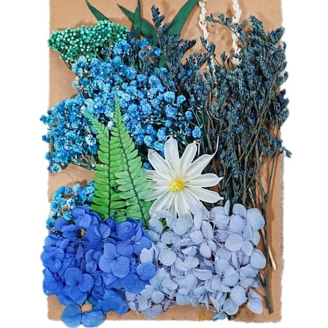 【A-ONE 匯旺】天然乾燥花 植物果實 拍照道具 花材 花藝材料包 浮游花 永生花 浮油花 乾花 乾燥花材(C11)