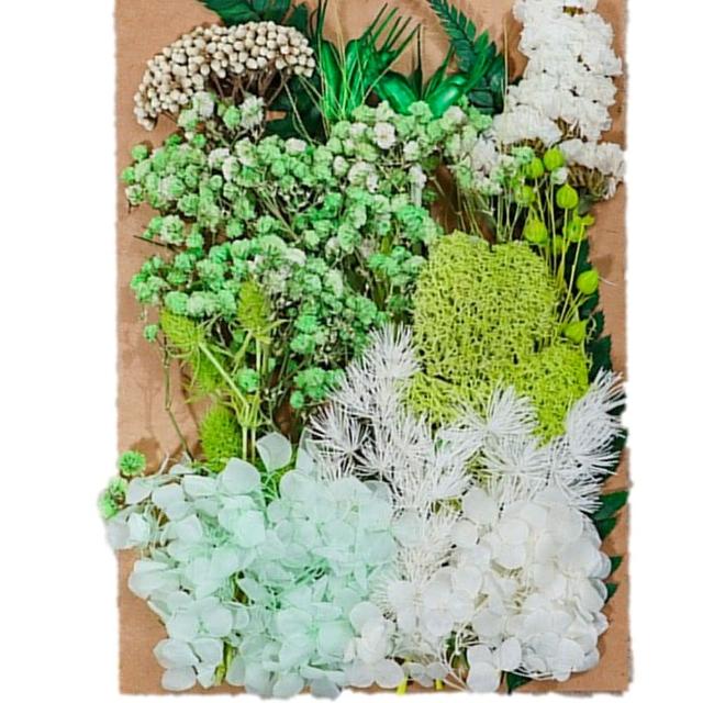 【A-ONE 匯旺】天然乾燥花 植物果實 拍照道具 花材 花藝材料包 浮游花 永生花 浮油花 乾花 乾燥花材(C11)