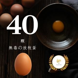 【好愛雞HAOAICHI】無毒の放牧蛋 紅殼 小家庭4盒 共40顆(10顆/盒 非籠飼 無藥殘 無毒飼料 雞蛋)