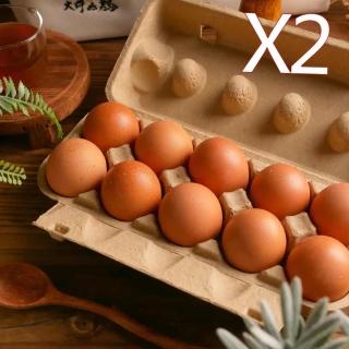 【大野山牧場】草間雞 放牧土雞蛋 -L-10入(630g*12盒)