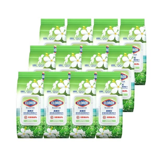 【Clorox 高樂氏】居家清潔殺菌濕紙巾120片x12-茉莉花香(廚房去汙/環境消毒/消滅流感腸菌病毒/無酒精)