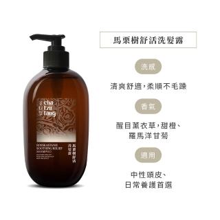 【茶籽堂】三大植萃香氣洗髮露500mL｜三款調理任選(肖楠葉/馬栗樹/水芙蓉/控油保濕)