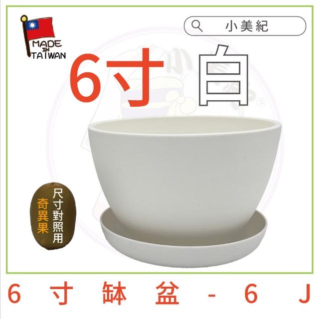 【小美紀】6寸缽盆附底盤(花盆 花架 圓盆 多肉盆 盆栽 水盤 肥料 多肉)