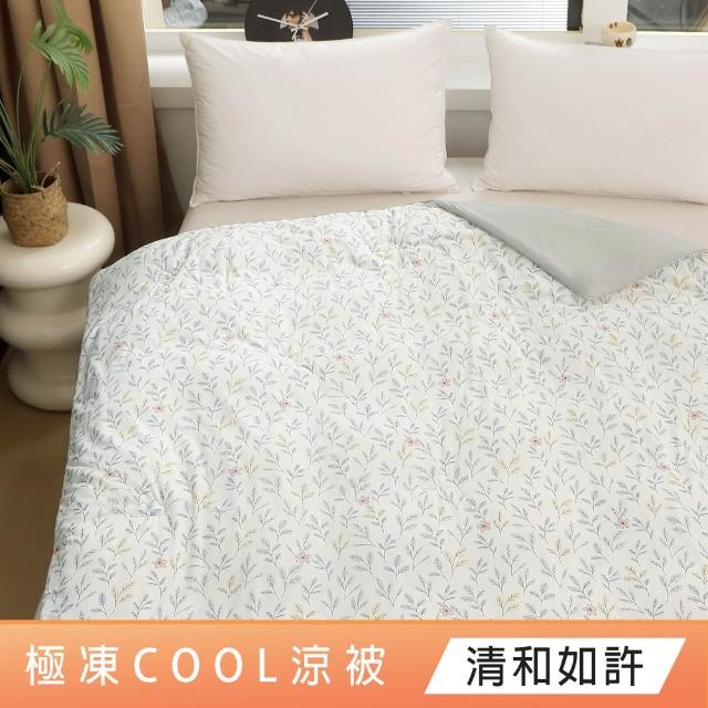 【DeKo】SUPER COOL極凍cool涼被 抑菌可水洗涼感紗刨冰被 150X210CM(百貨專櫃等級/涼夏被/冰冰被/冰凍被)