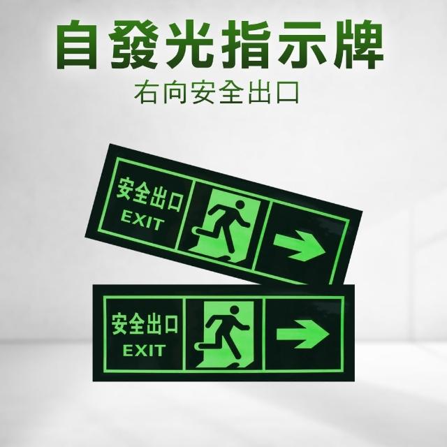 消防標識牌 逃生指示牌 逃生出口標誌 安全出口 疏散方向貼紙 緊急逃生指引(夜光指示牌 165-PSE3)