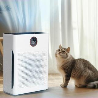 【IPSKY】寵物專用 空氣清淨機(智慧數顯淨化器 超強吸毛 寵物淨化器 環境健康 空氣濾清器 30坪適用)