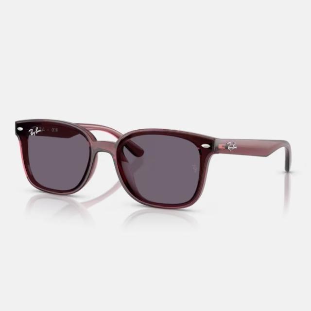 【RayBan 雷朋】亞洲版 韓系流行抗UV太陽眼鏡組合(RB4391D、RB4392D、RB4423D、RB4458D、RB4461D)