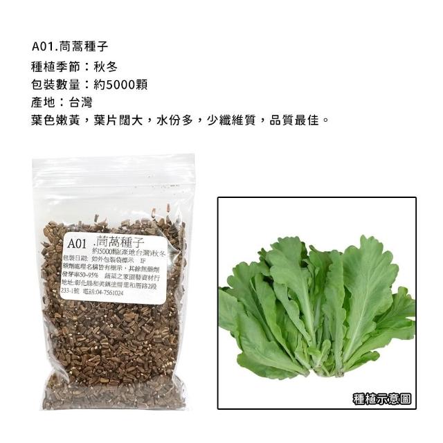 【蔬菜工坊】新手秋冬可栽培短期收成葉菜類種子系列(各包裝數量詳見內文及圖片)