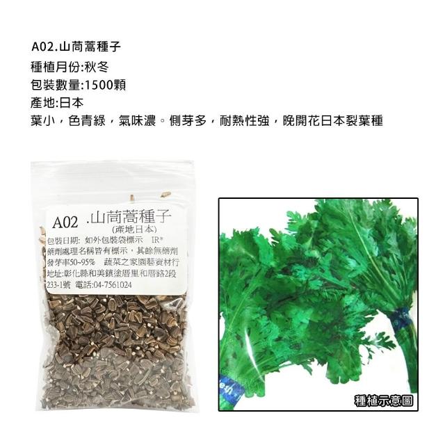 【蔬菜工坊】新手秋冬可栽培短期收成葉菜類種子系列(各包裝數量詳見內文及圖片)