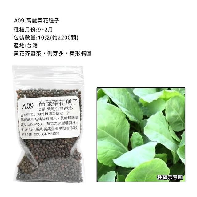 【蔬菜工坊】新手秋冬可栽培短期收成葉菜類種子系列(各包裝數量詳見內文及圖片)