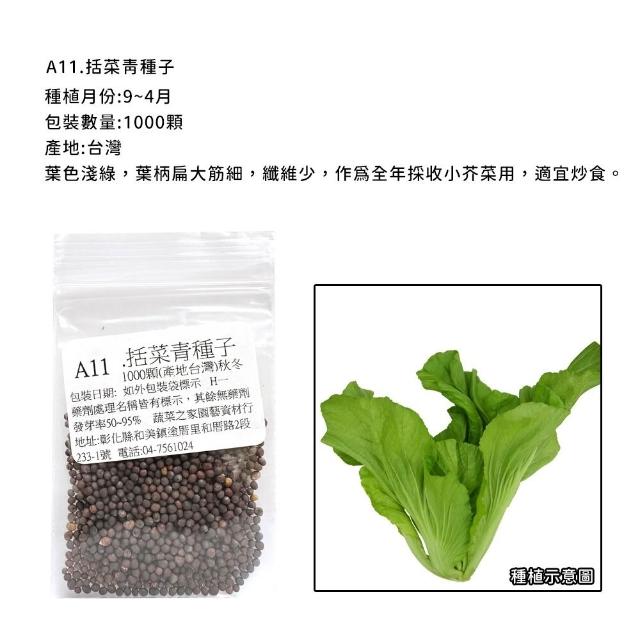 【蔬菜工坊】新手秋冬可栽培短期收成葉菜類種子系列(各包裝數量詳見內文及圖片)