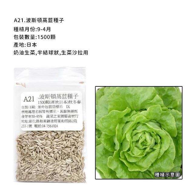 【蔬菜工坊】新手秋冬可栽培短期收成葉菜類種子系列(各包裝數量詳見內文及圖片)