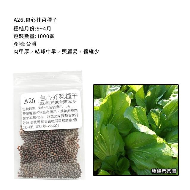 【蔬菜工坊】新手秋冬可栽培短期收成葉菜類種子系列(各包裝數量詳見內文及圖片)