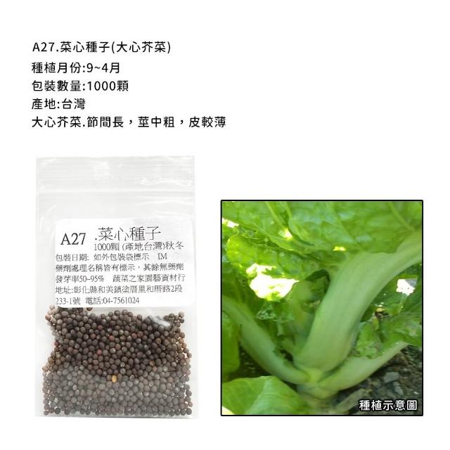 【蔬菜工坊】新手秋冬可栽培短期收成葉菜類種子系列(各包裝數量詳見內文及圖片)