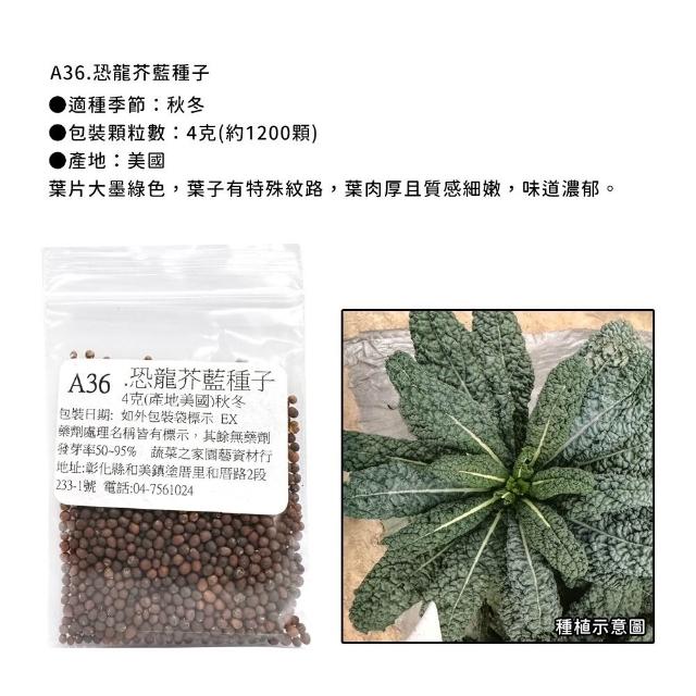 【蔬菜工坊】新手秋冬可栽培短期收成葉菜類種子系列(各包裝數量詳見內文及圖片)