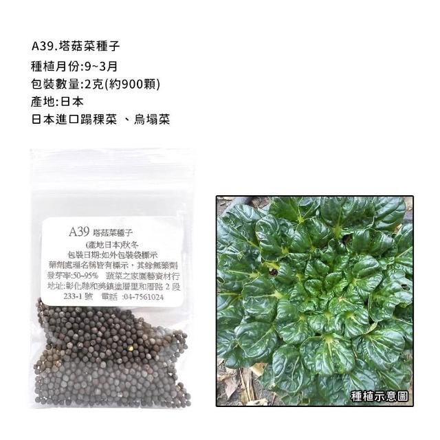 【蔬菜工坊】新手秋冬可栽培短期收成葉菜類種子系列(各包裝數量詳見內文及圖片)